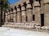 Karnak Temple Amon Grande Cour 0164